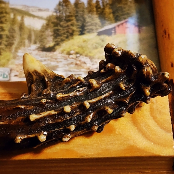 Cabin Decor Buckhorn Deer Antler Rustic  Picture Frames - Picture 7 of 13